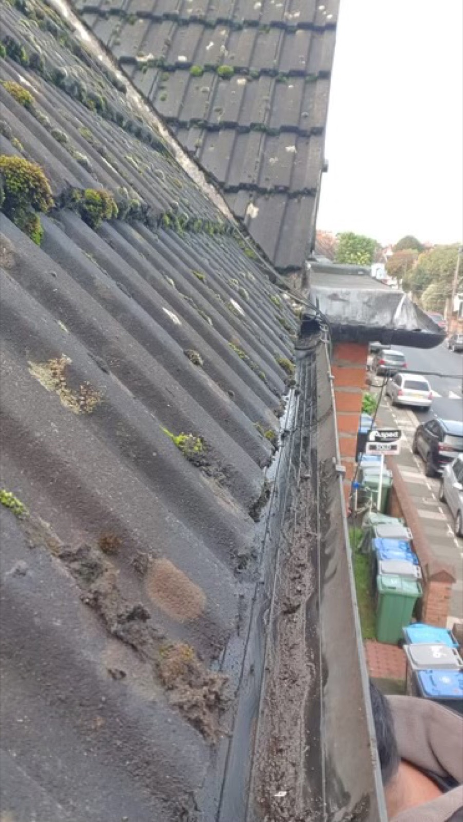 Mossy roof and gutter, Roundwood Services